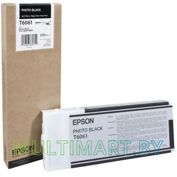 Картридж Epson C13T606100 картинка 2